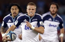 Super Rugby star Anscombe joins Cardiff with Welsh caps in view