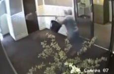 Grandmother chases off purse thief with mop and bucket