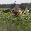 Dutch government sending military police to protect MH17 crash site