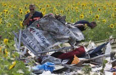 There are still human remains at the MH17 crash site