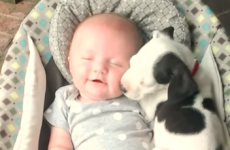 Tiny baby and her cuddly puppy pal are almost TOO cute