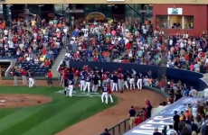 10 players ejected after bench-clearing minor league baseball brawl