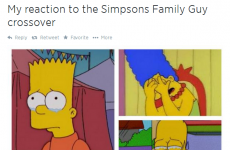 8 people who agree with you about The Simpsons/Family Guy