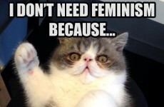 Explainer: Why is 'Confused Cats Against Feminism' taking over the internet?