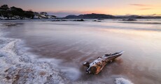 In pictures: See the stunning images which won 2010 photography prizes