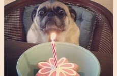 19 terrifying things you learn by the time you're 29