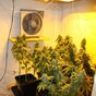 Trafficked Asian nationals forced into drug trade are getting tougher sentences than Irish - MRCI
