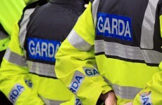 These are the questions gardaí are calling door-to-door asking members of the public