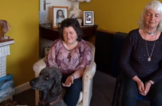 Irish pet owners use psychic powers to "talk" to their dogs