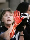 Pictures: Animal rights protesters think Simon Coveney has 'blood on his hands'