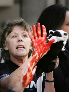 Pictures: Animal rights protesters think Simon Coveney has 'blood on his hands'