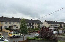 Greyhound truck stopped in Dublin park during peaceful protest