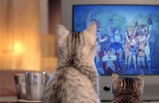 What to watch on TV tonight: Friday