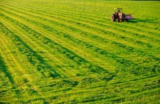 Investigation launched after child (3) dies on farm