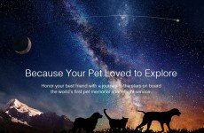 You can now pay to send your dead pet's remains into space
