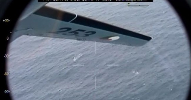Irish Air Corps capture amazing video of rare fin whale leaping out of the sea