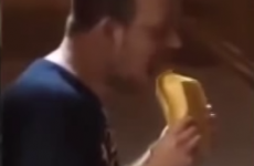 Drunk guy tries to eat kebab, eats the Styrofoam box instead
