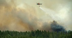 'Worst forest fire in living memory' continues to rage in Sweden