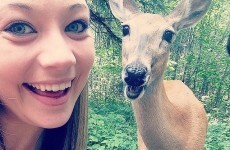 19 animals that take way better selfies than you