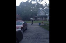 Video captures bear walking around upright like a human