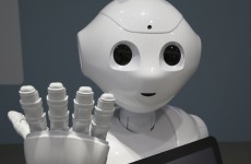 'Automation is Voldemort': tech experts polled on the future impact of robots and AI