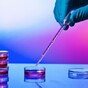 Trinity scientists discover how to attack a bacteria that causes cystic fibrosis infections