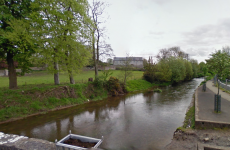 650 fish killed in Limerick slurry spill