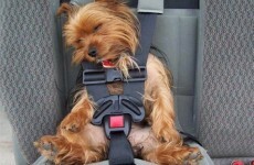 10 problems only constantly tired people will understand