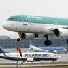 How many flights come in and out of Dublin every day?