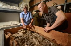 The mystery of the 6,500-year-old skeleton found in a museum basement