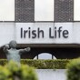 Irish Life and Permanent's 'rebel' shareholders call for EGM