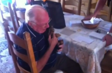 This bereaved grandpa and his new puppy will make you cry hot salty tears