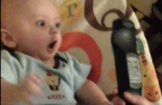 Baby boy freaks out way too much over a simple TV remote