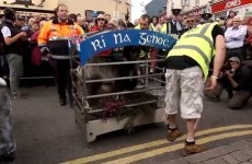 Raising of King Puck goat goes ahead amid animal welfare concerns