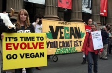 12 daily struggles only a vegan will understand