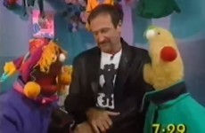 VIDEO: When Robin Williams met Zig and Zag