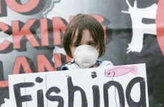 There will be no decisions made on fracking in Ireland for at least 2 years