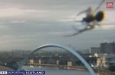 Giant spider photobombs BBC Scotland breakfast newscast