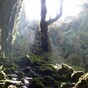 Lord of the Rings' Middle-earth was inspired by... the Burren