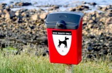 Those anti- dog poo messages on beaches in Co Clare are working