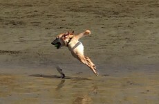 14 panoramic photos that went terribly, terribly wrong