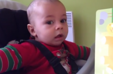 Baby has adorable reaction to hearing lion roar for the first time