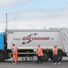 High Court orders TD to stop blockading Greyhound trucks