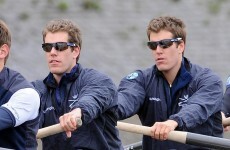 Winklevoss twins give up 'Social Network' legal case