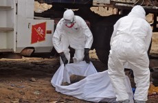 WHO: The Ebola outbreak is much worse than people think
