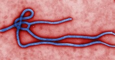 Ebola virus ruled out for patient in Dublin hospital
