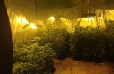 Man arrested after €100,000 worth of drugs found in Cavan house