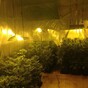Man arrested after €100,000 worth of drugs found in Cavan house