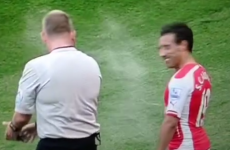 Arsenal's Santi Cazorla gets maced with vanishing spray