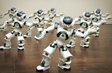 These jobs are most likely to be replaced by robots